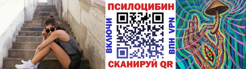 Купить закладки  Звенигород  Псилоцибиновые грибы прущие грибы 